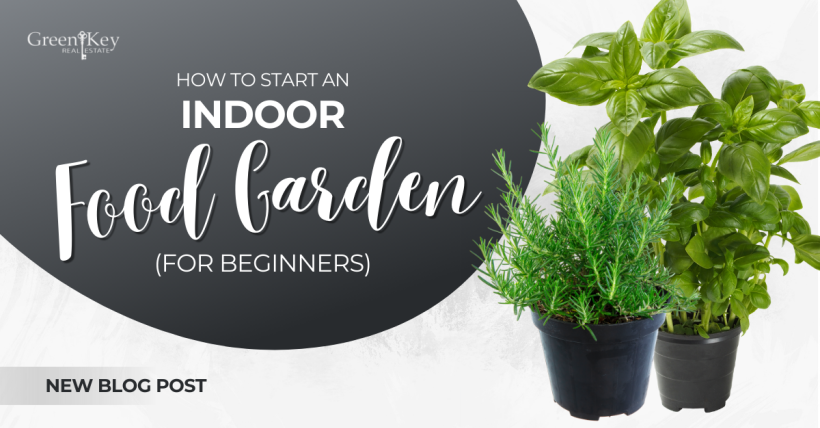 How to Start an Indoor Food Garden (for Beginners)